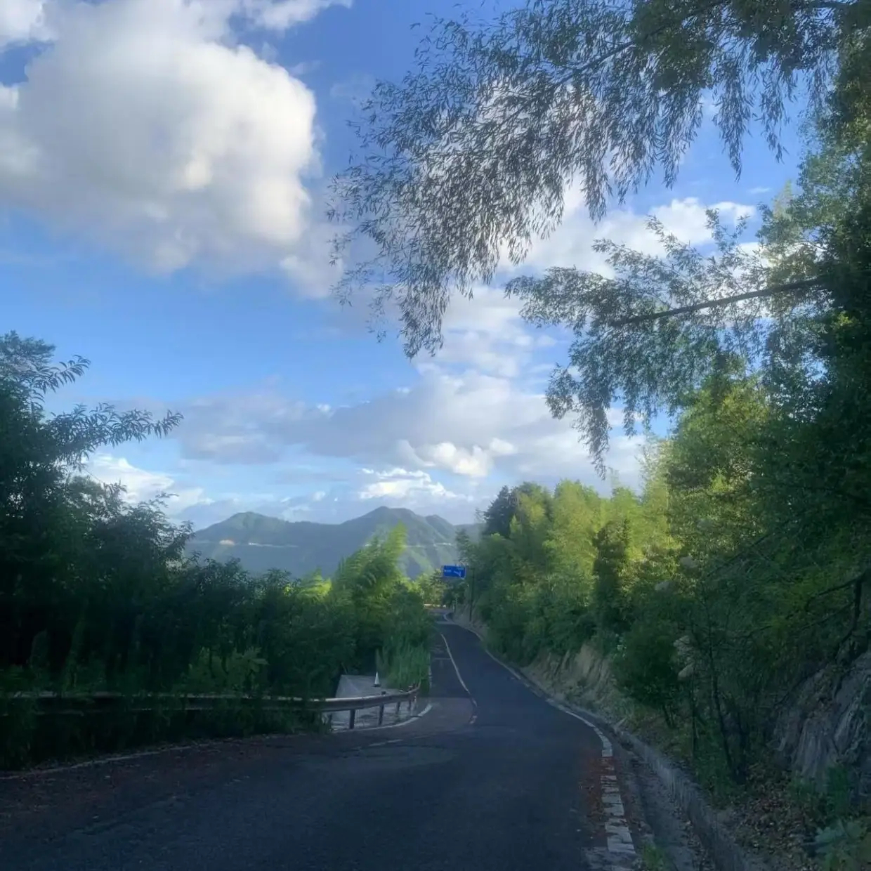 国安争冠陷入困局，张稀哲替补进球换帅成焦点